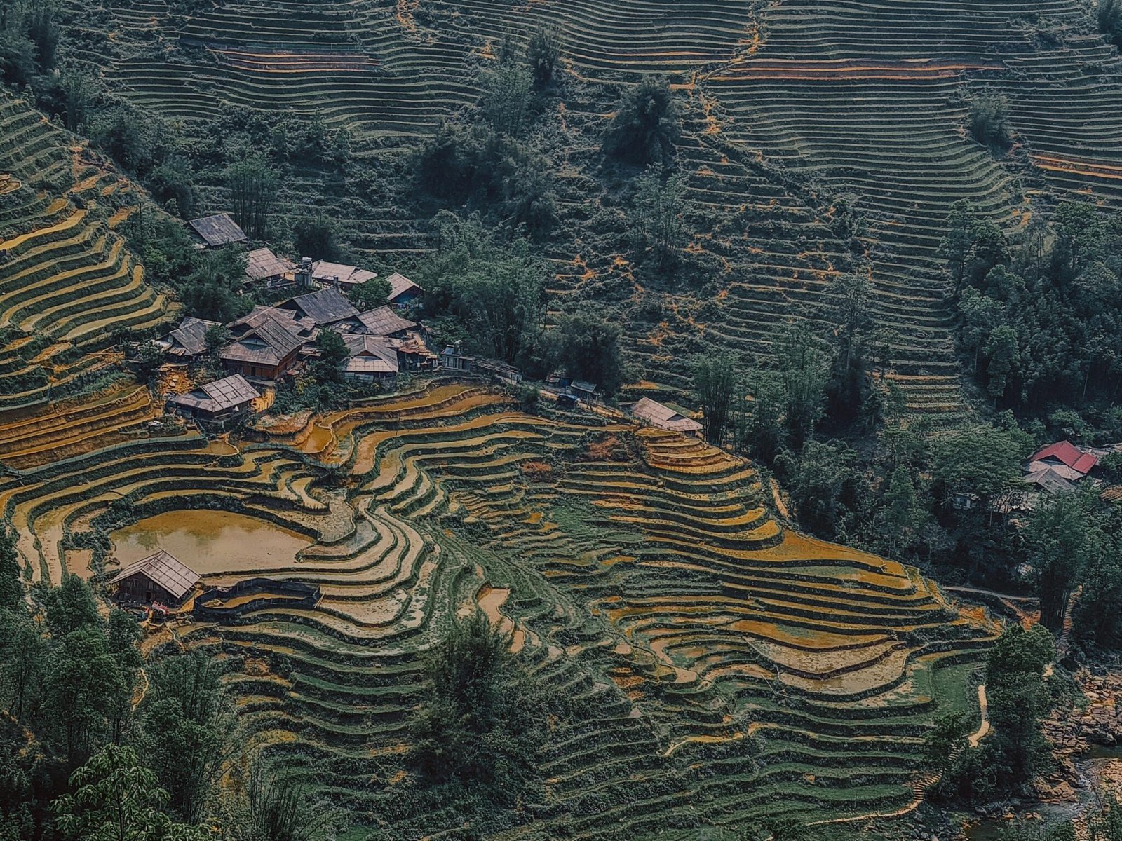 pexels-onesecondbeforesunset-32105580